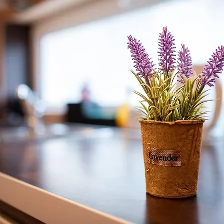 דירה Ohrid 2bdr וארנה