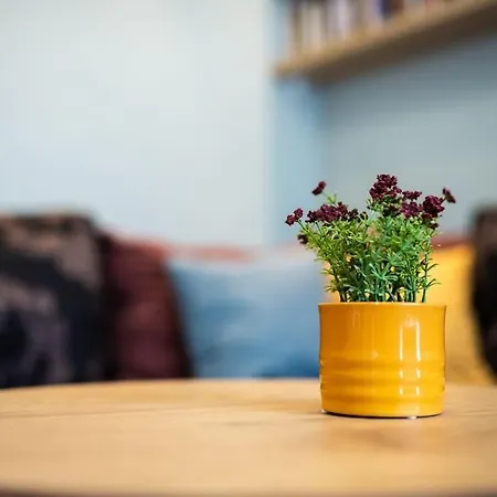 Ohrid 2bdr וארנה